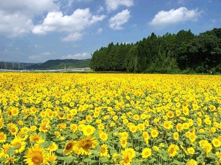 �摜�̐���